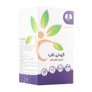 کپسول کیدنی ناب
